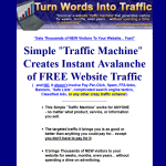 TurnWordsintoTraffic.com Article Marketing ebook home page full-size image