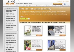 DataDepot.com Direct Email Marketing home page full size image