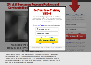 TheLocalMarketingSystem.com Local Marketing Training home page full size image