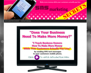 SMSMarketingSecrets.com SMS Marketing Training course home page full size image