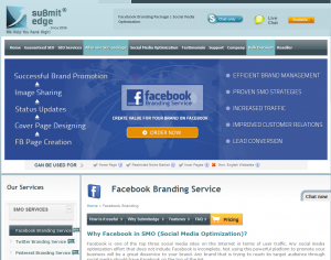 SubmitEdge Facebook Branding service (submitedge.com/facebook-branding) overview page full size image