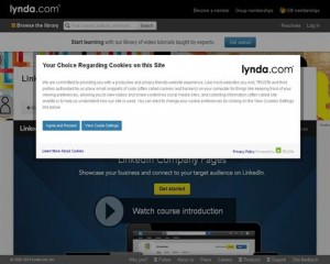 Lynda 'LinkedIn for Business' course page full size image