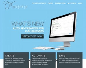 adsringer Reviews screenshot image